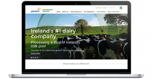 Glanbia Ingredients Ireland web design screenshot