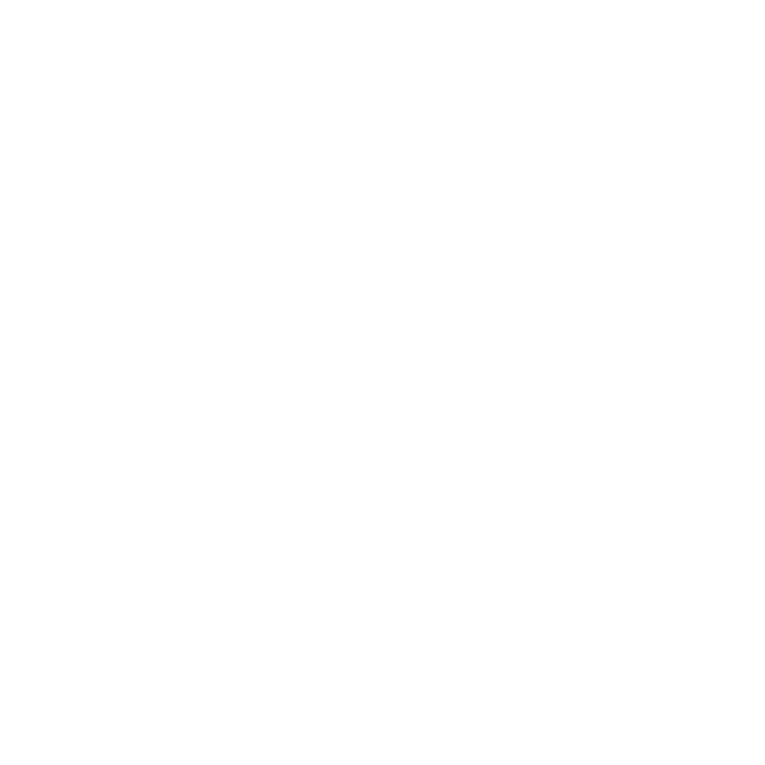 Search icon focussed on a person | User Research | Annertech Services