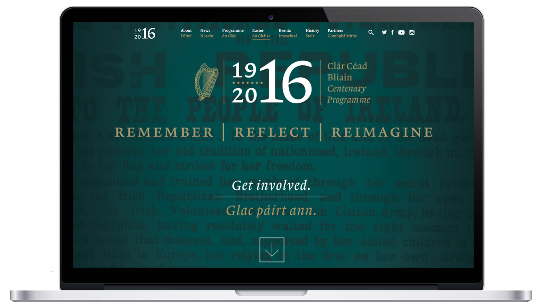 Screenshot of Ireland.ie website