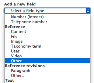 Drupal 8 media field type "other"