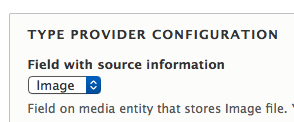 Drupal 8 media file source field interface