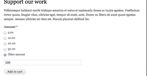 Drupal Commerce Donation module created by Annertech's Stella Power