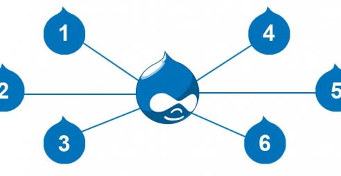 6 Reasons Why We Suggest Drupal to Our Clients