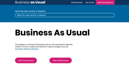 BusinessAsUsual.ie Homepage