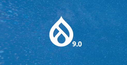 Drupal 9 logo