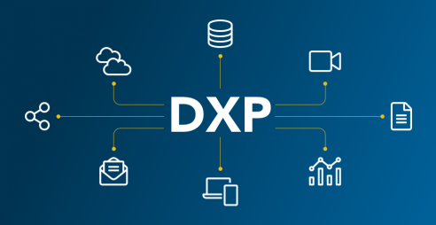 Open DXP Picture