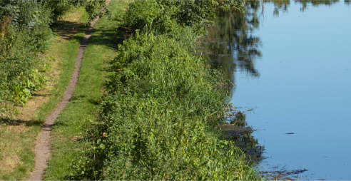 A birdseye view of County Carlow, with a river running through a greenway.