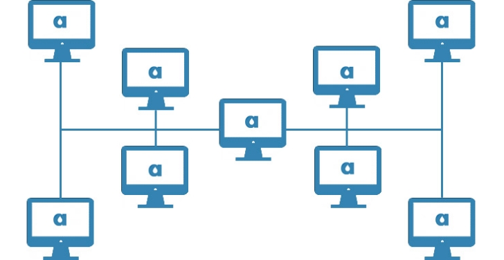 Managing a Distributed Team