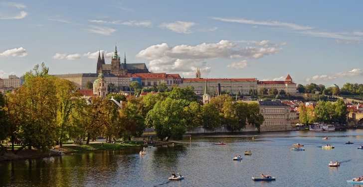 The trees and river in Prague