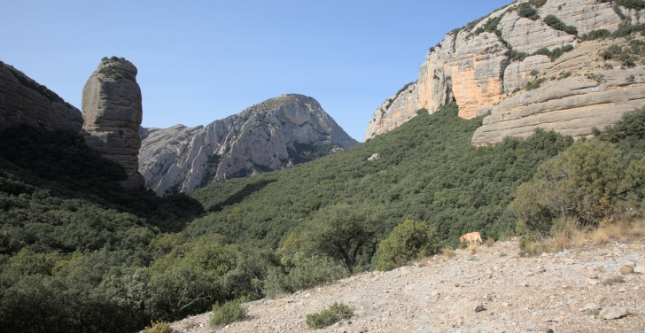 Some stunning mountain scenery in El Huevo de San Cosme y San Damian