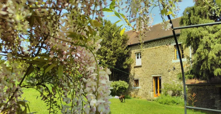Karen Leech lives in a stone house surrounded by beautiful trees.