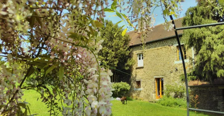 Karen Leech lives in a stone house surrounded by beautiful trees.