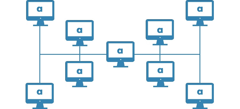 Managing a Distributed Team