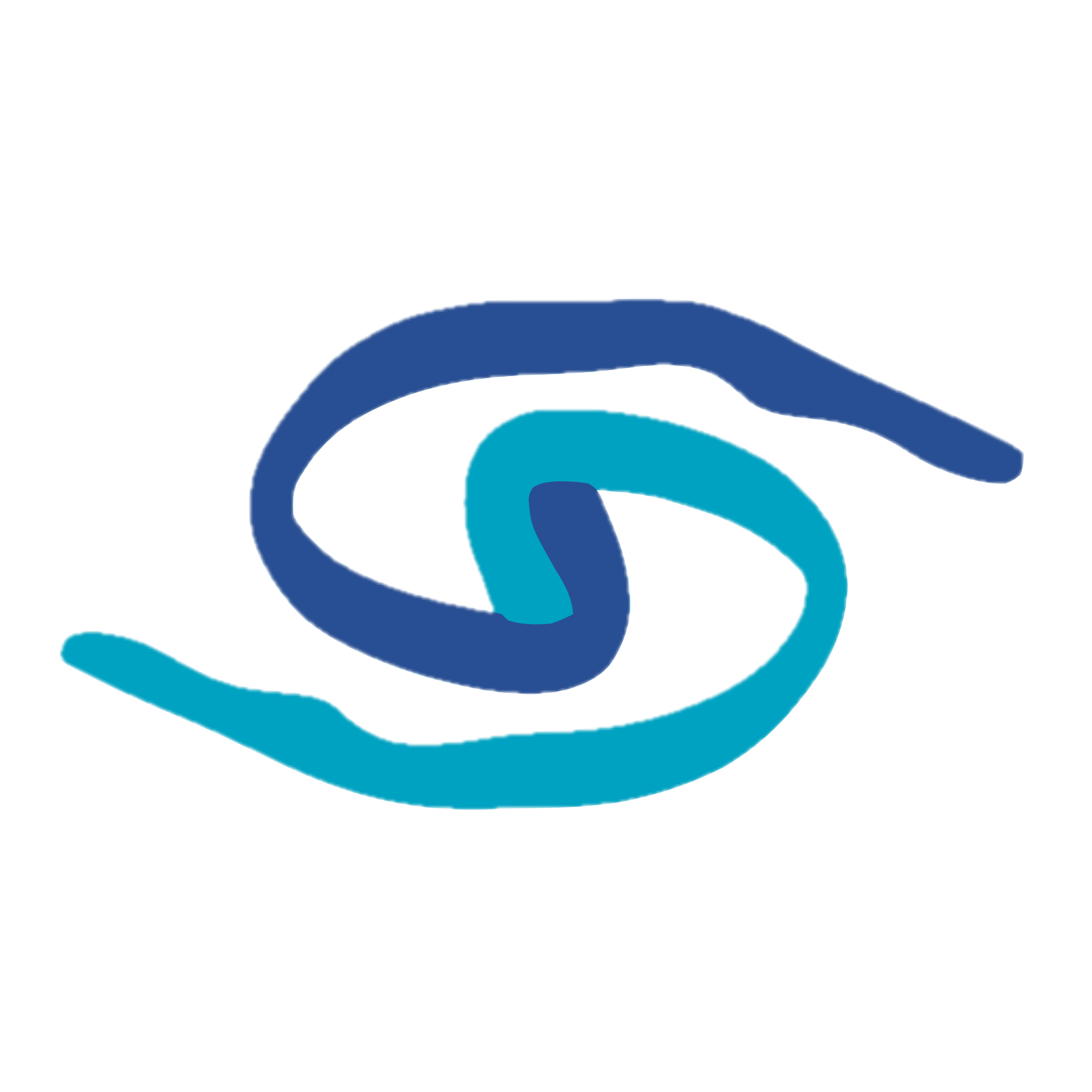 The light and dark swirl of the NCRI logo