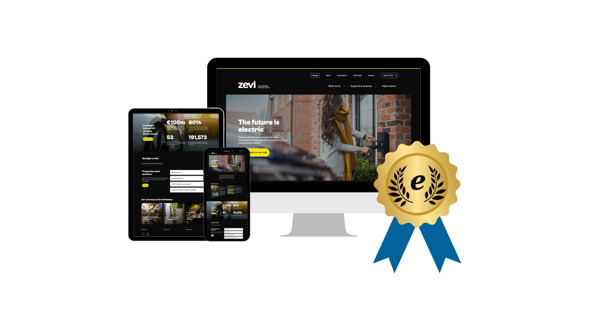 The Zevi website was an Ireland eGovernment Award finalist