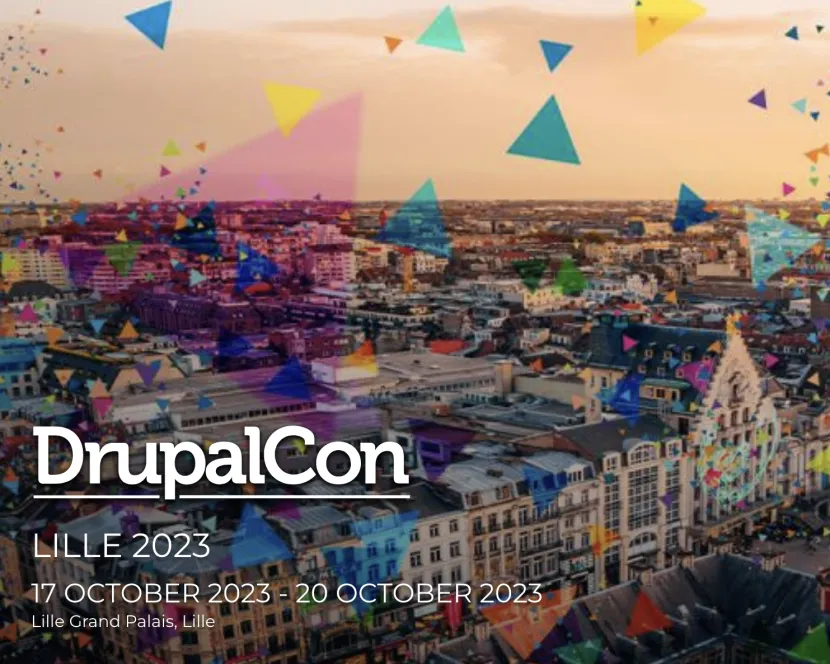 Party banners are laid on top of an image of the French city of Lille. 