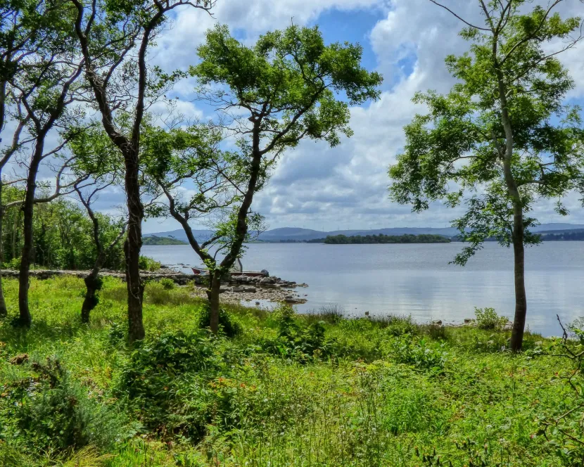 The tree-lined shore of Lake Corrib in County Galway.