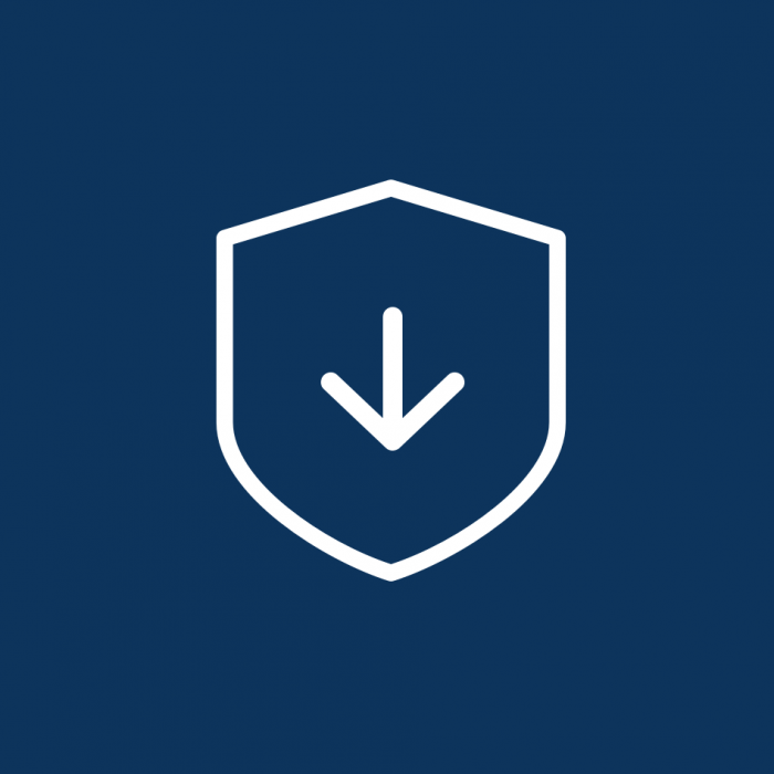 Shield with downloading icon | Security updates support services