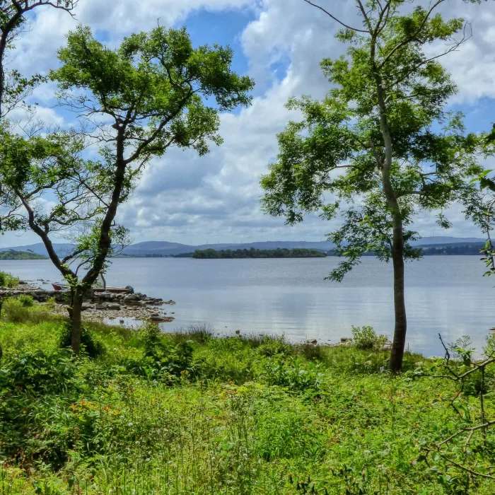 The tree-lined shore of Lake Corrib in County Galway.
