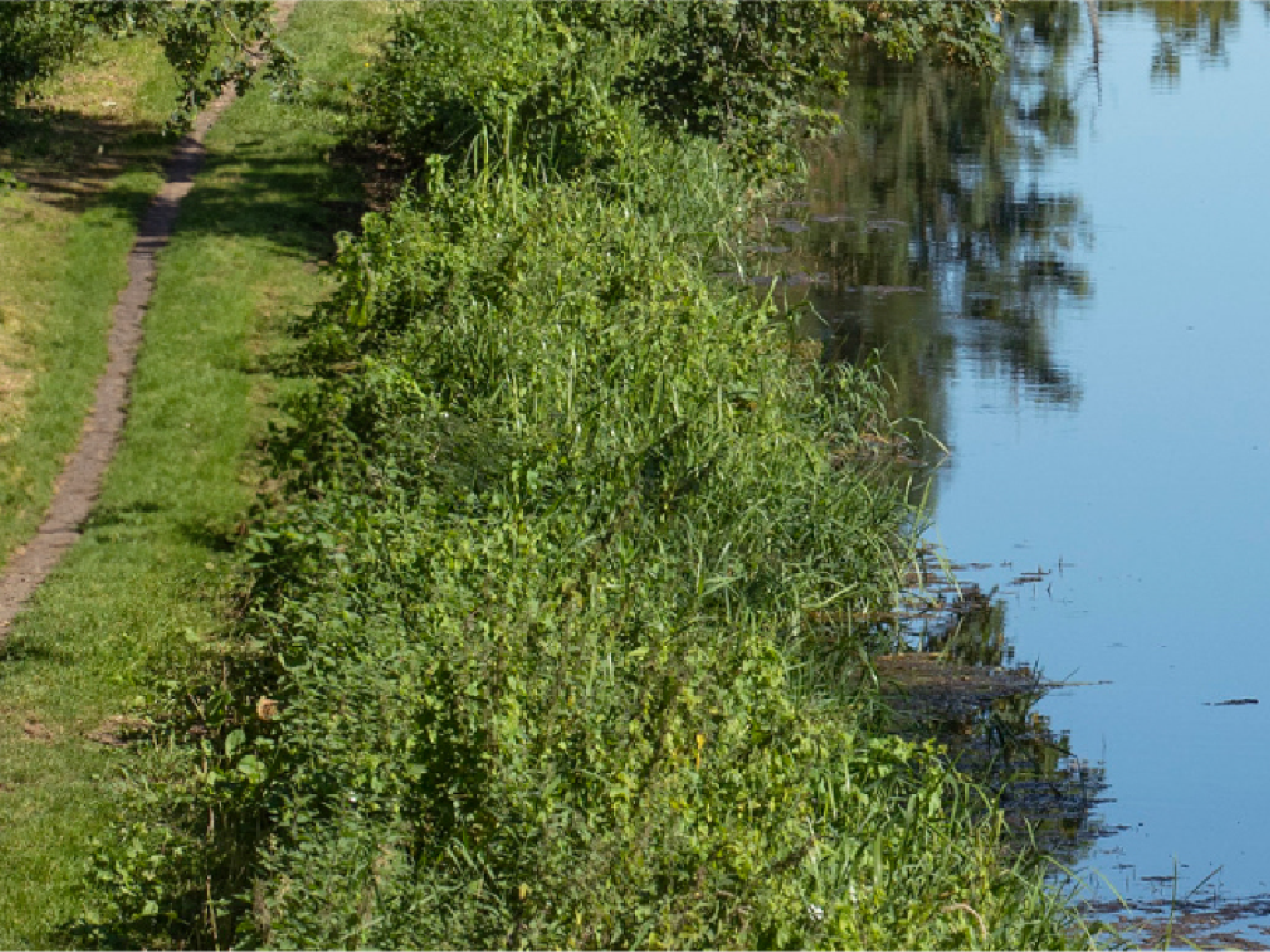 A birdseye view of County Carlow, with a river running through a greenway.