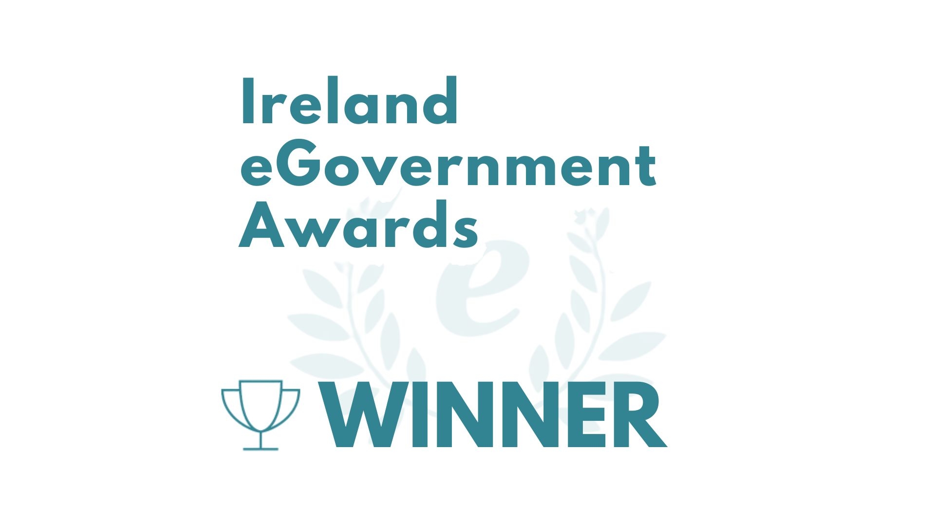 Ireland eGovernment Awards winner